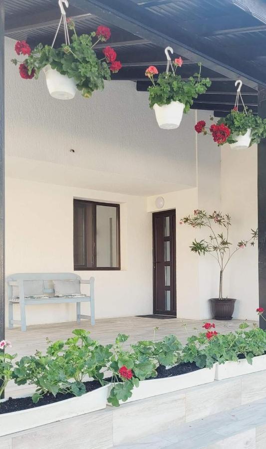 Casa Domneasca Hotel Giurgiu Eksteriør billede