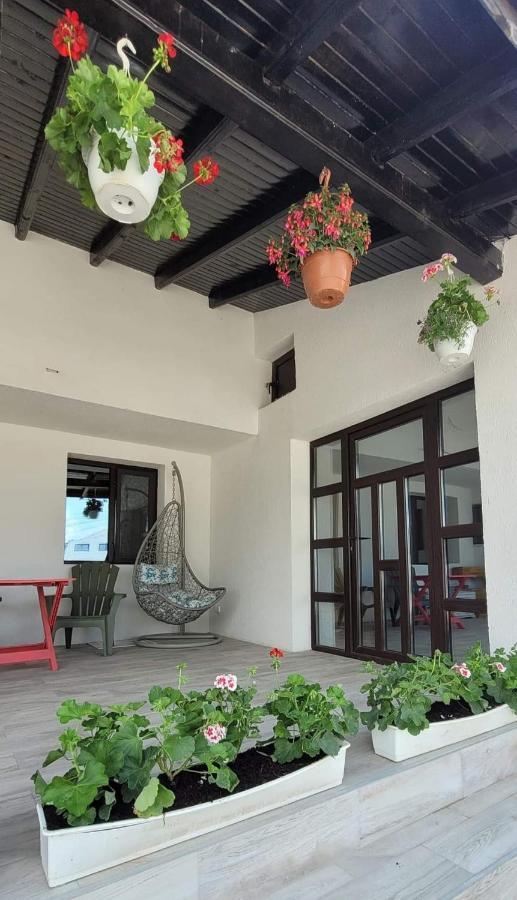 Casa Domneasca Hotel Giurgiu Eksteriør billede